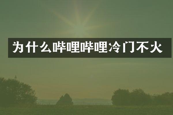 为什么哔哩哔哩冷门不火