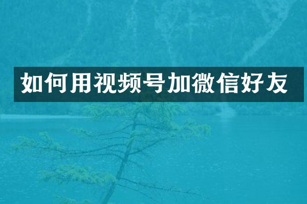 如何用视频号加微信好友