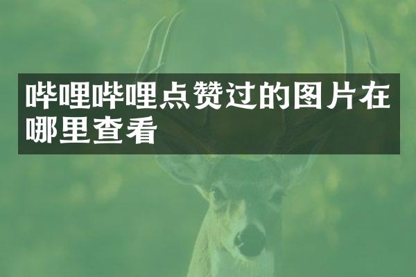 哔哩哔哩点赞过的图片在哪里查看