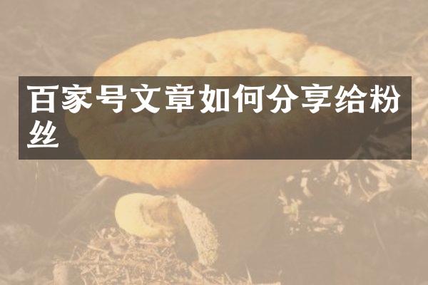 百家号文章如何分享给粉丝