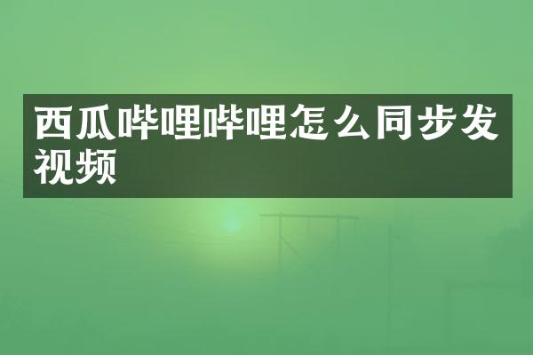 西瓜哔哩哔哩怎么同步发视频