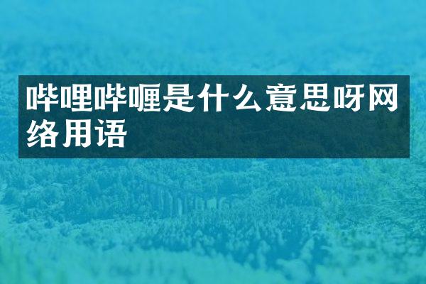 哔哩哔喱是什么意思呀网络用语