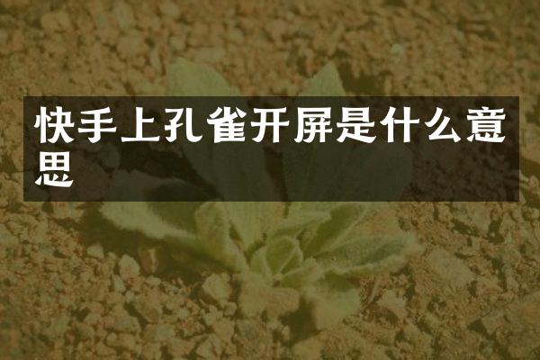 快手上孔雀开屏是什么意思