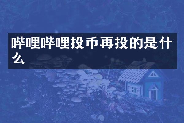 哔哩哔哩投币再投的是什么