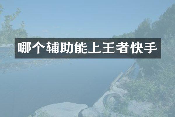 哪个辅助能上王者快手