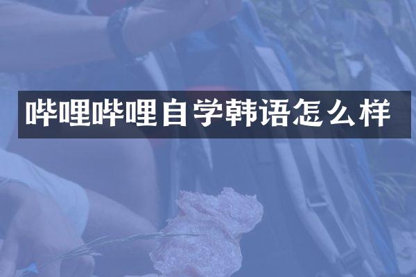哔哩哔哩自学韩语怎么样