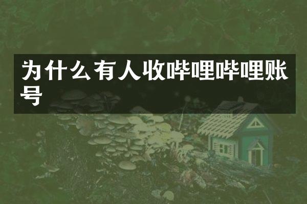 为什么有人收哔哩哔哩账号