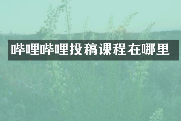 哔哩哔哩投稿课程在哪里