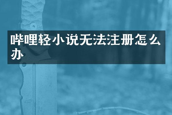 哔哩轻小说无法注册怎么办