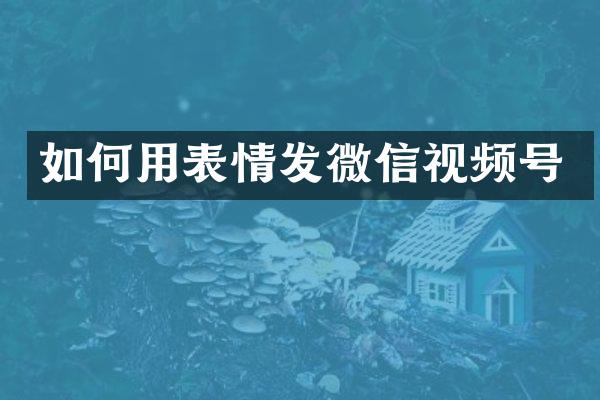 如何用表情发微信视频号
