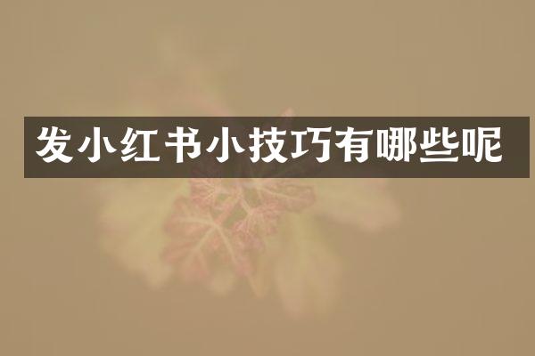 发小红书小技巧有哪些呢