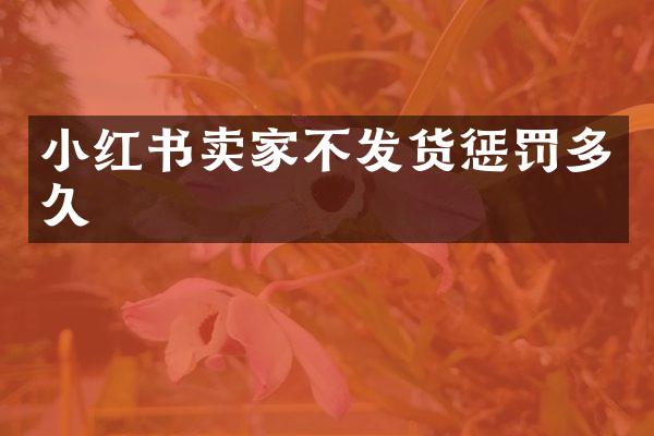 小红书卖家不发货惩罚多久