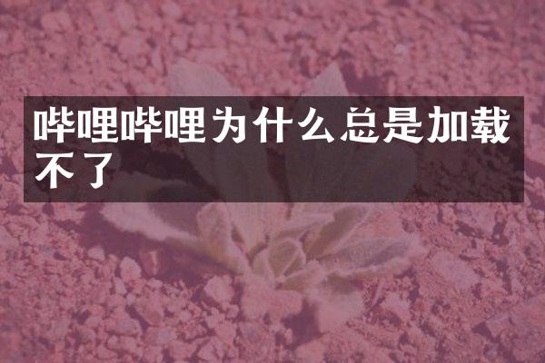 哔哩哔哩为什么总是加载不了