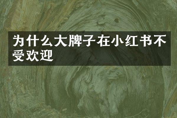 为什么大牌子在小红书不受欢迎