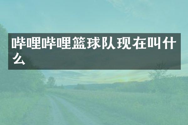 哔哩哔哩篮球队现在叫什么