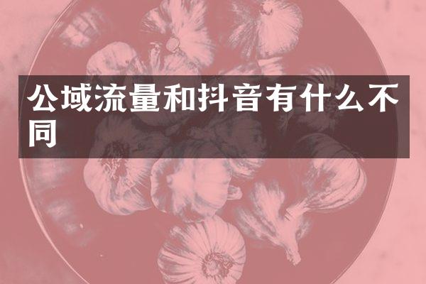 公域流量和抖音有什么不同