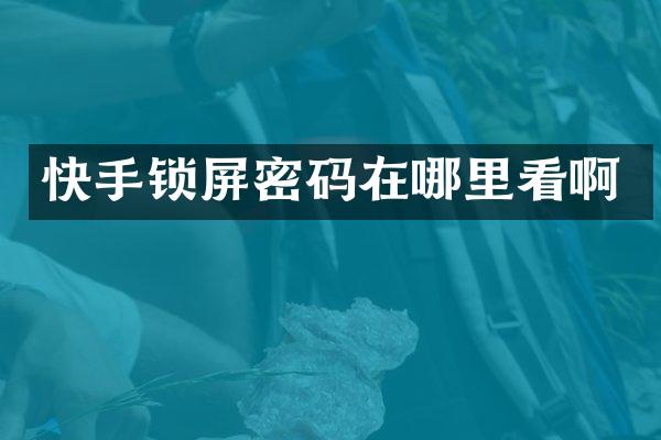 快手锁屏密码在哪里看啊
