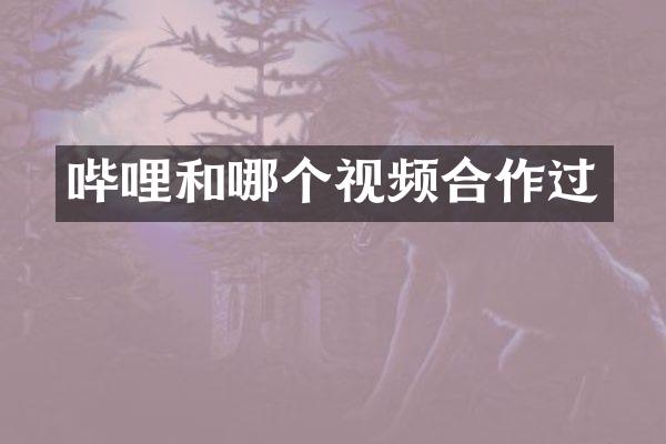 哔哩和哪个视频合作过
