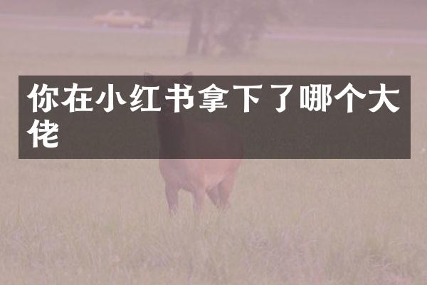 你在小红书拿下了哪个大佬