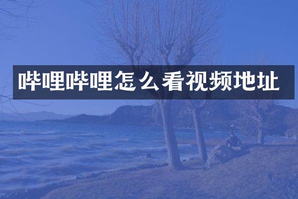 哔哩哔哩怎么看视频地址