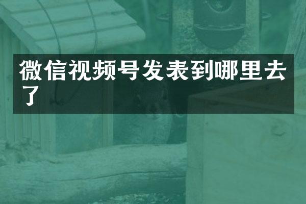 微信视频号发表到哪里去了
