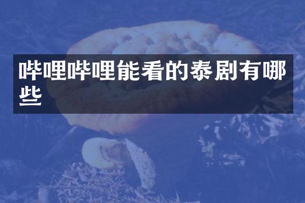 哔哩哔哩能看的泰剧有哪些