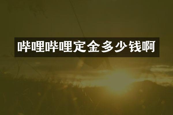 哔哩哔哩定金多少钱啊