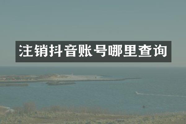 注销抖音账号哪里查询