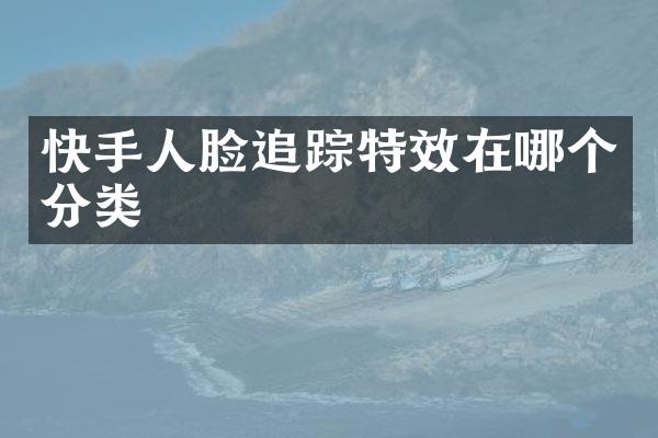 快手人脸追踪特效在哪个分类