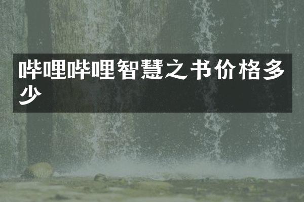 哔哩哔哩智慧之书价格多少