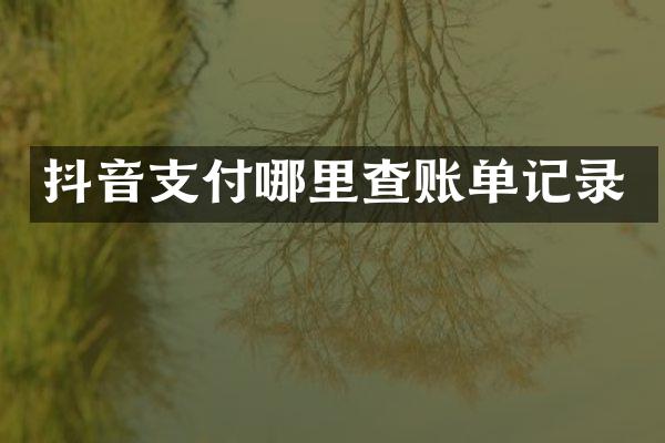 抖音支付哪里查账单记录
