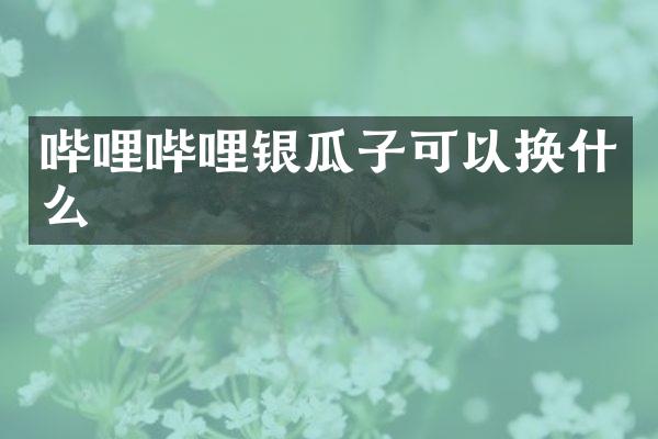 哔哩哔哩银瓜子可以换什么