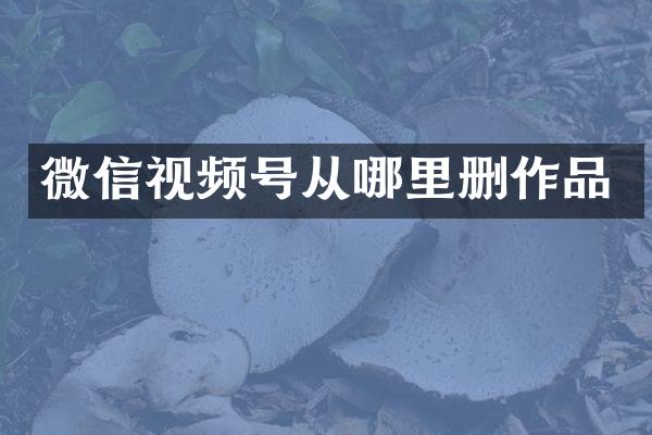微信视频号从哪里删作品