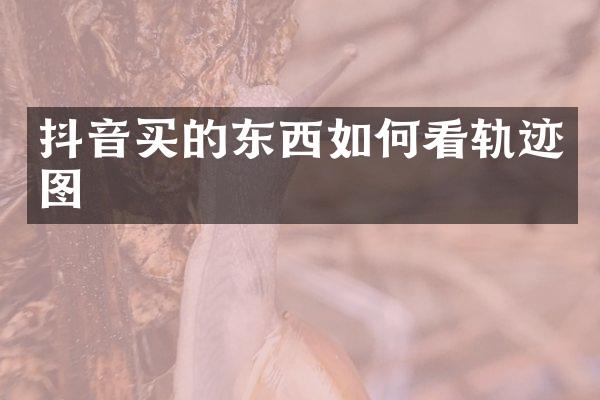抖音买的东西如何看轨迹图