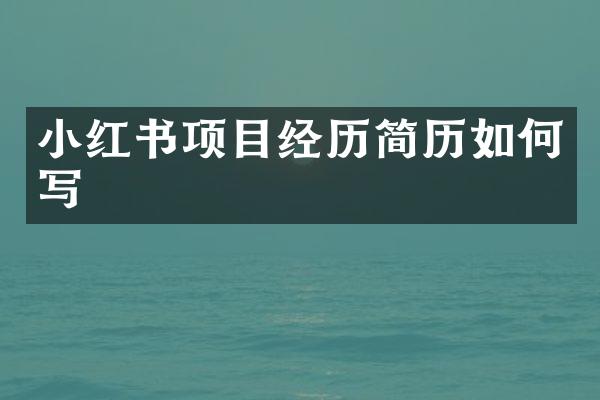 小红书项目经历简历如何写