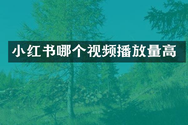 小红书哪个视频播放量高