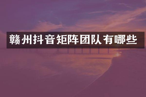 赣州抖音矩阵团队有哪些
