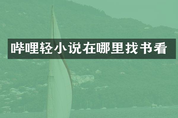哔哩轻小说在哪里找书看