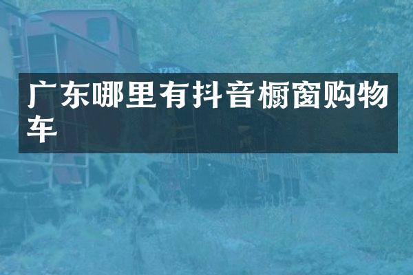 广东哪里有抖音橱窗购物车