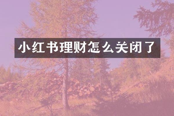 小红书理财怎么关闭了