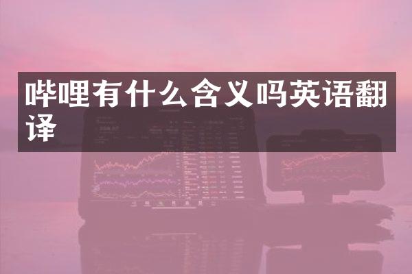 哔哩有什么含义吗英语翻译