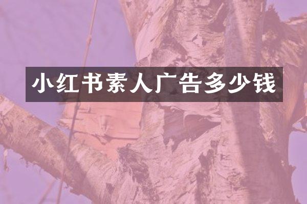 小红书素人广告多少钱