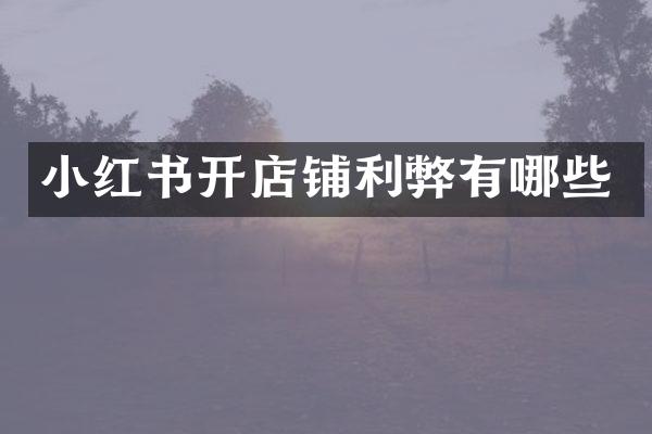 小红书开店铺利弊有哪些