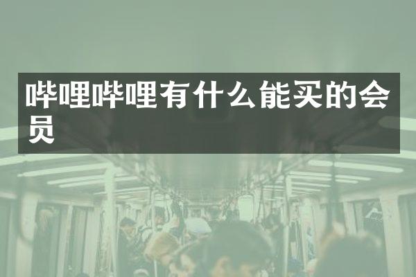 哔哩哔哩有什么能买的会员