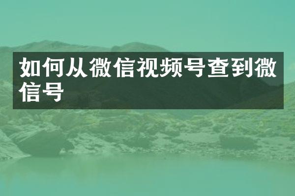 如何从微信视频号查到微信号