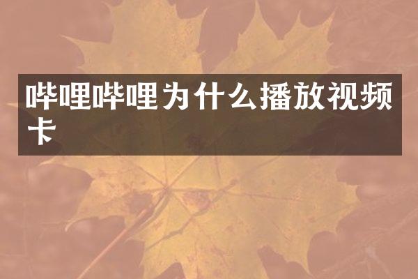 哔哩哔哩为什么播放视频卡