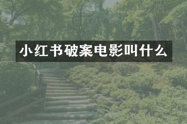 小红书电影叫什么