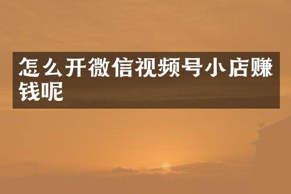 怎么开微信视频号小店赚钱呢