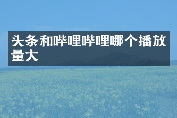 头条和哔哩哔哩哪个播放量大