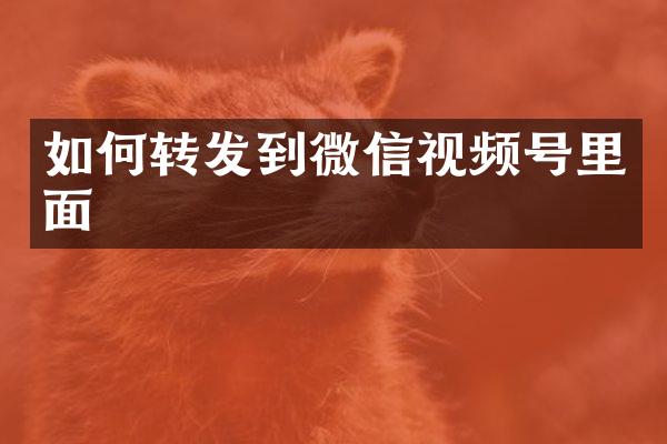 如何转发到微信视频号里面